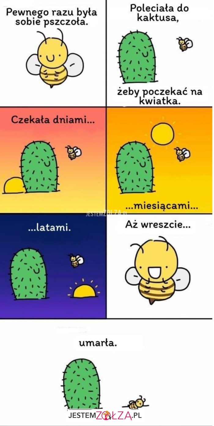 pewnego razu
