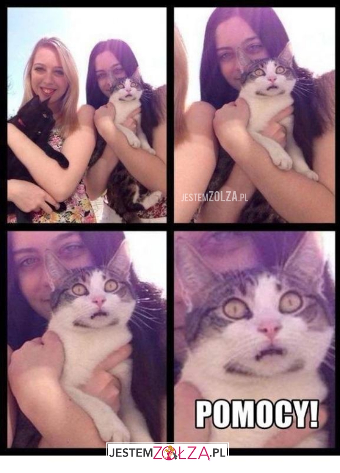 Pomocy