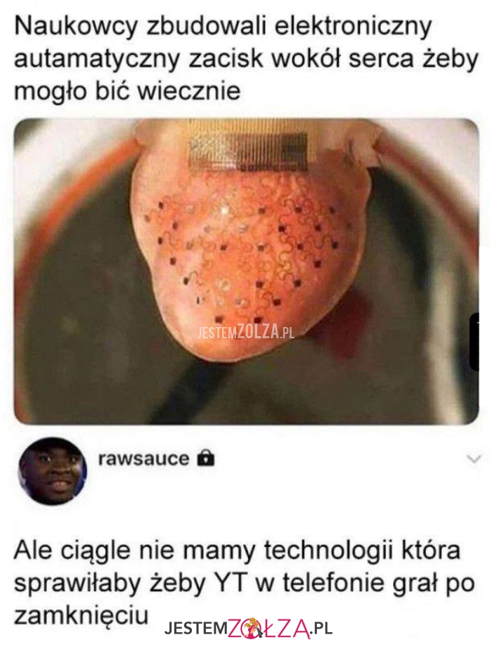 naukowcy zbudowali