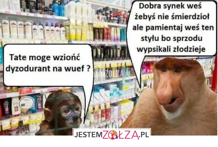tate mogę