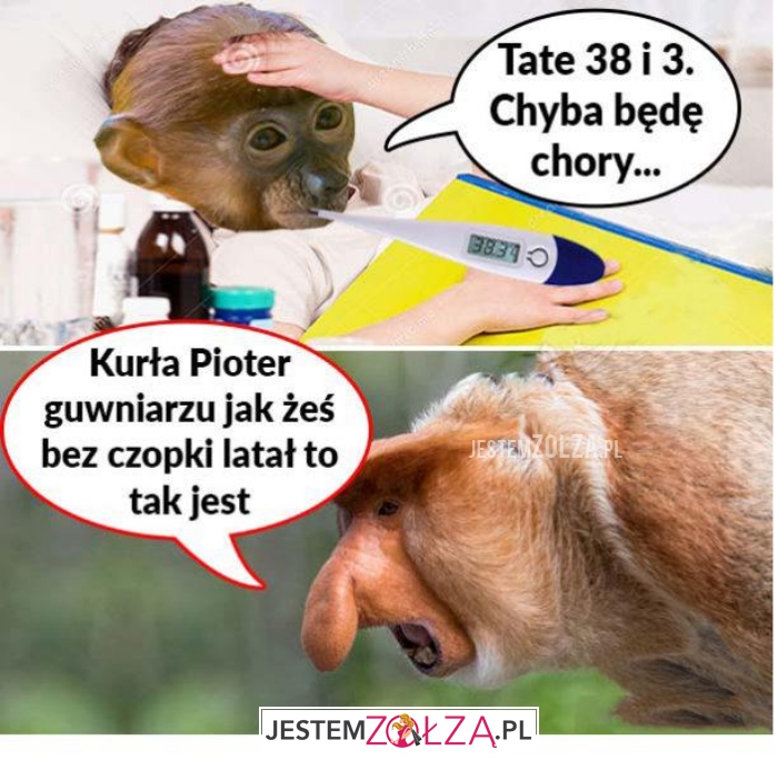 tate 38 i 3