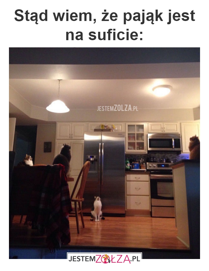Stąd wiem, że