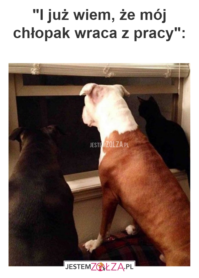 I już wiem, że