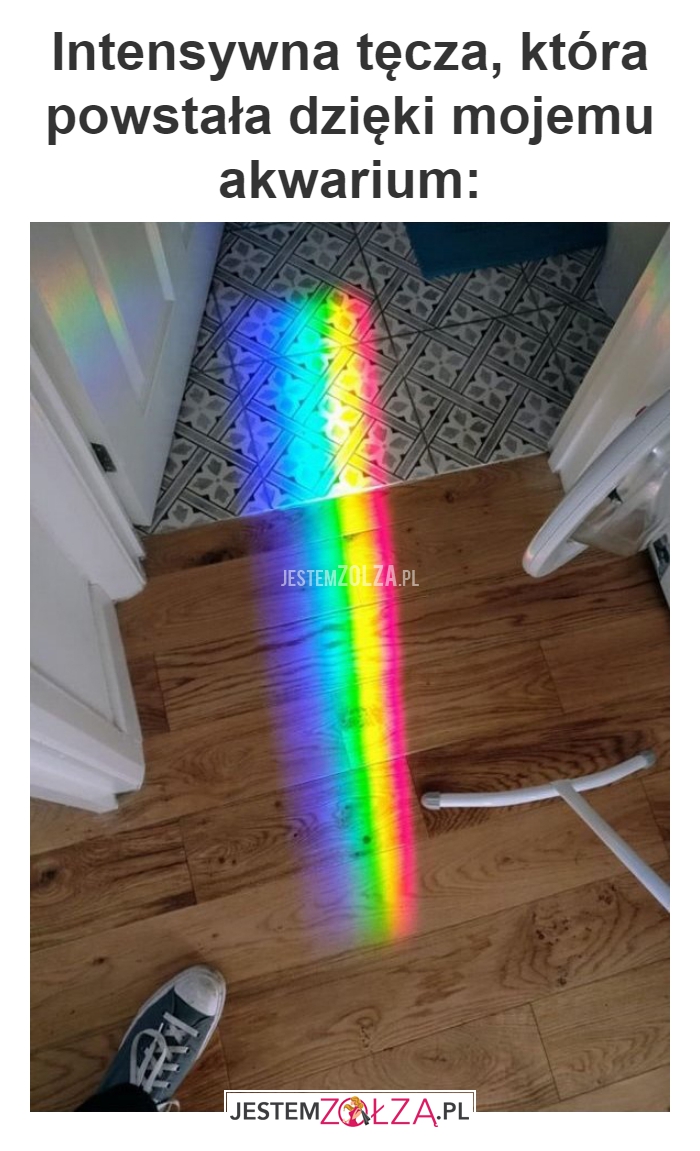 Intensywna tęcza