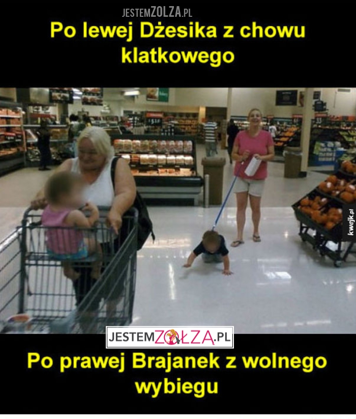 Beka z patologii
