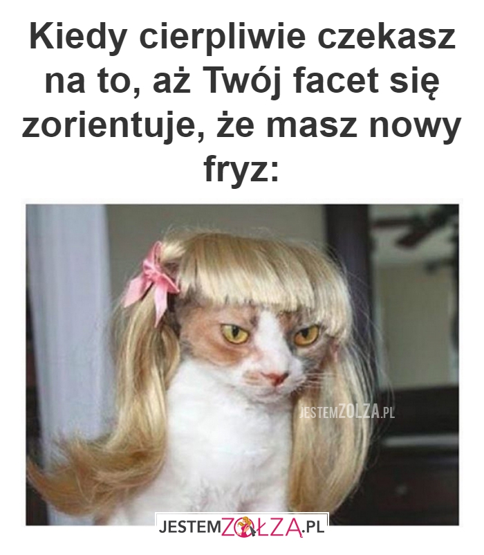 Kiedy cierpliwie 