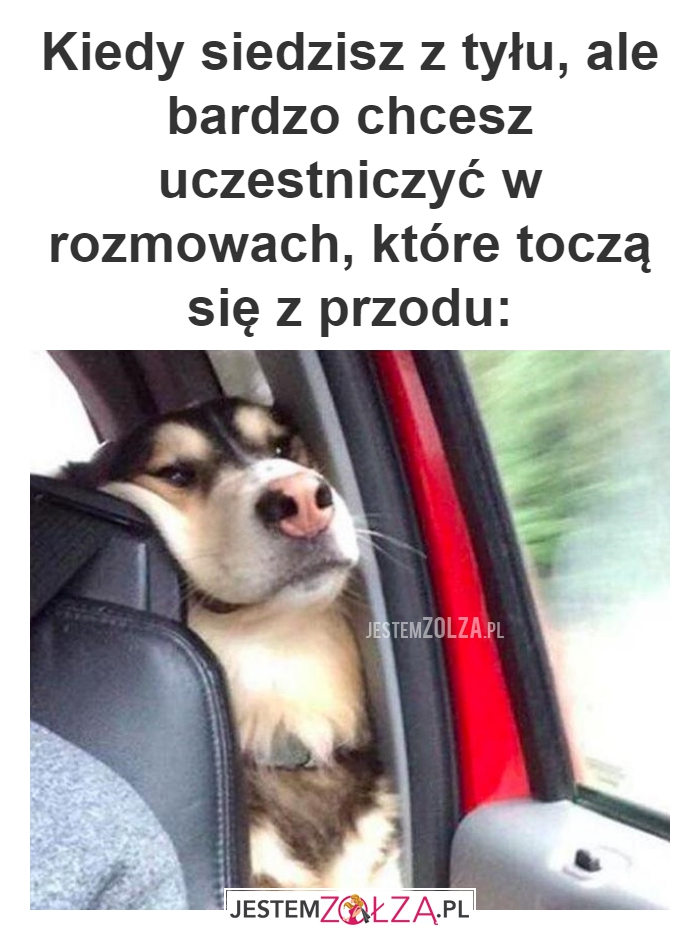 Kiedy siedzisz z tyłu
