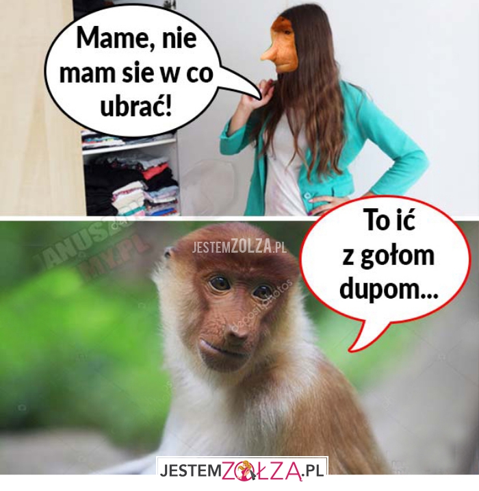 mame, nie mam
