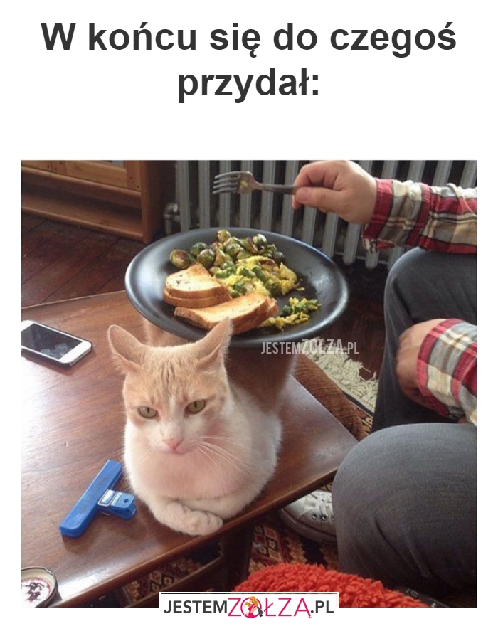 W końcu się do 