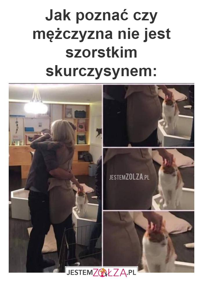 Jak poznać czy 