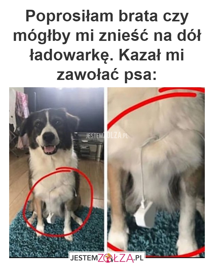 Poprosiłam brata czy 