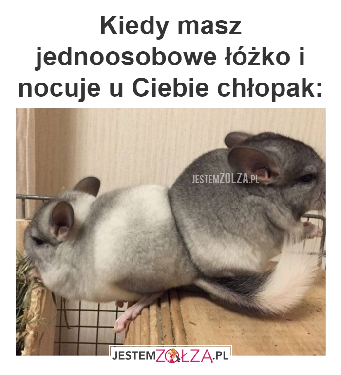 Kiedy masz jednoosobowe 