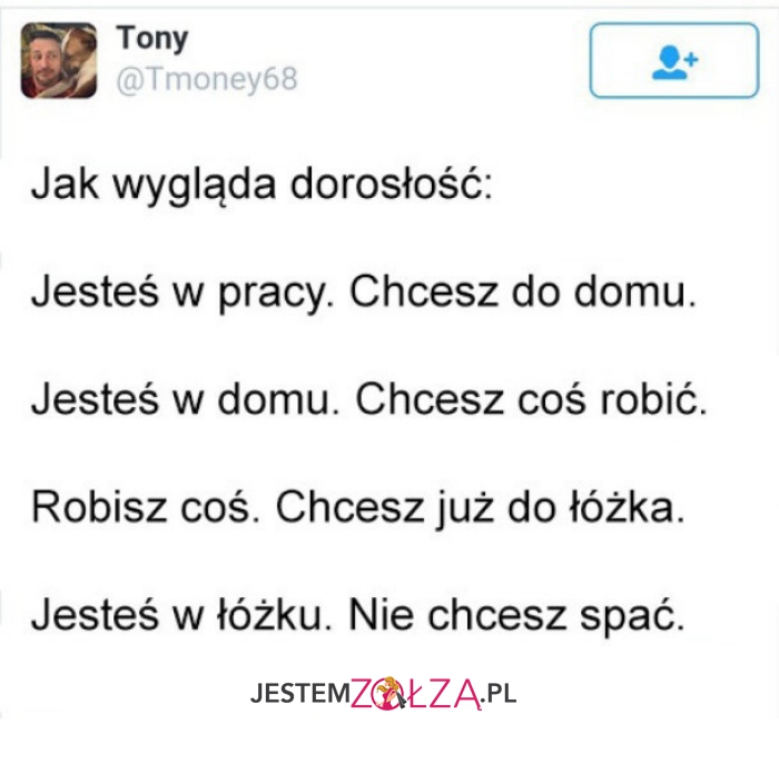 jak wygląda dorosłość