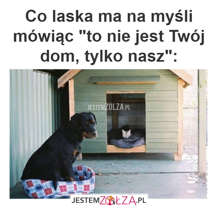 Co laska ma na myśli 