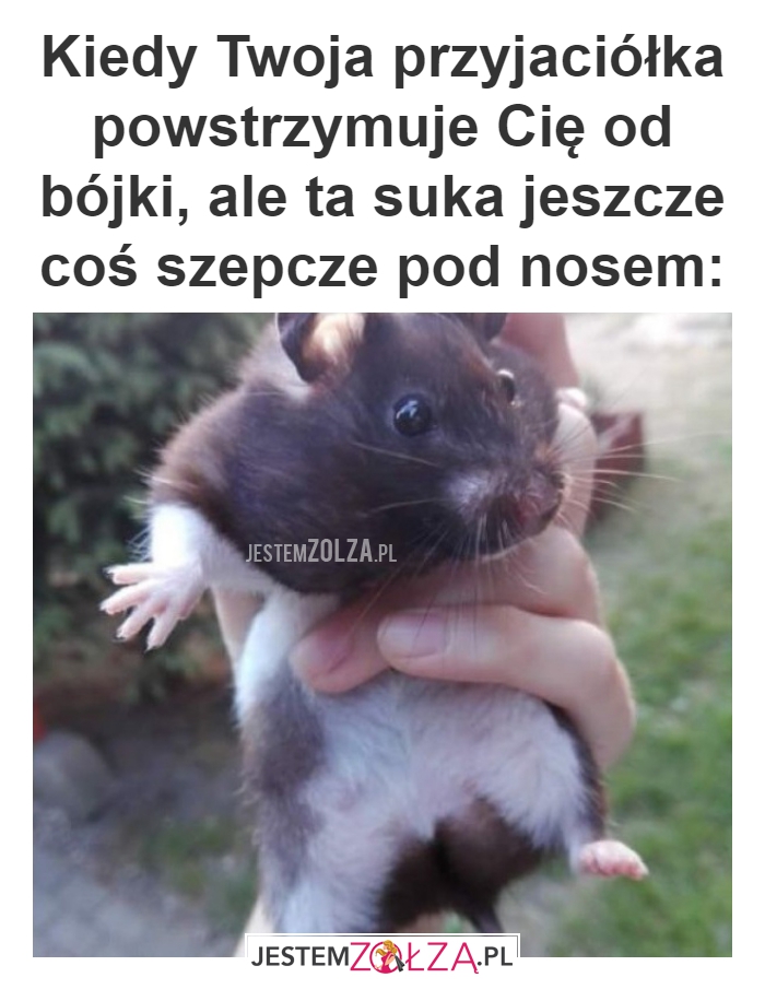 Kiedy Twoja przyjaciółka