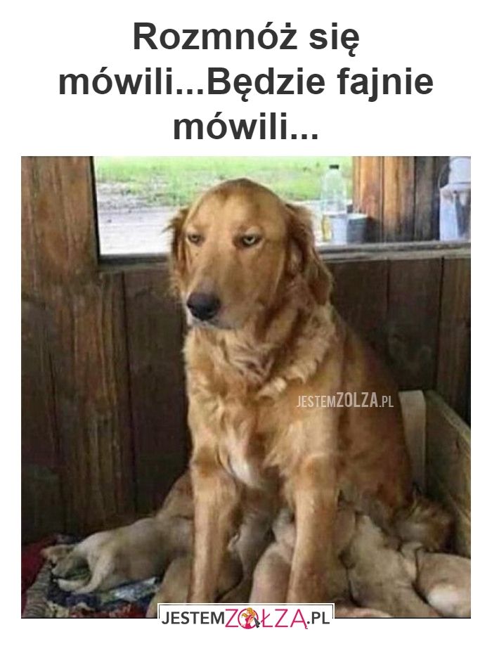 Rozmnóż się mówili...