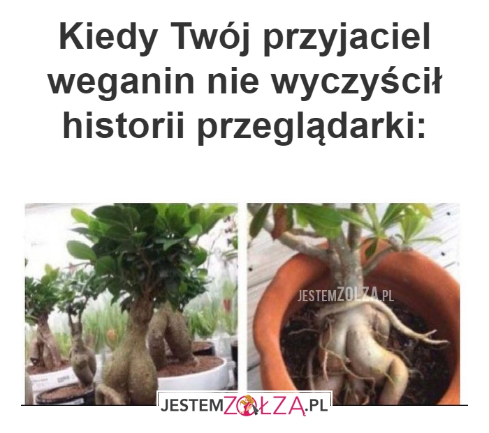 Kiedy Twój przyjaciel 