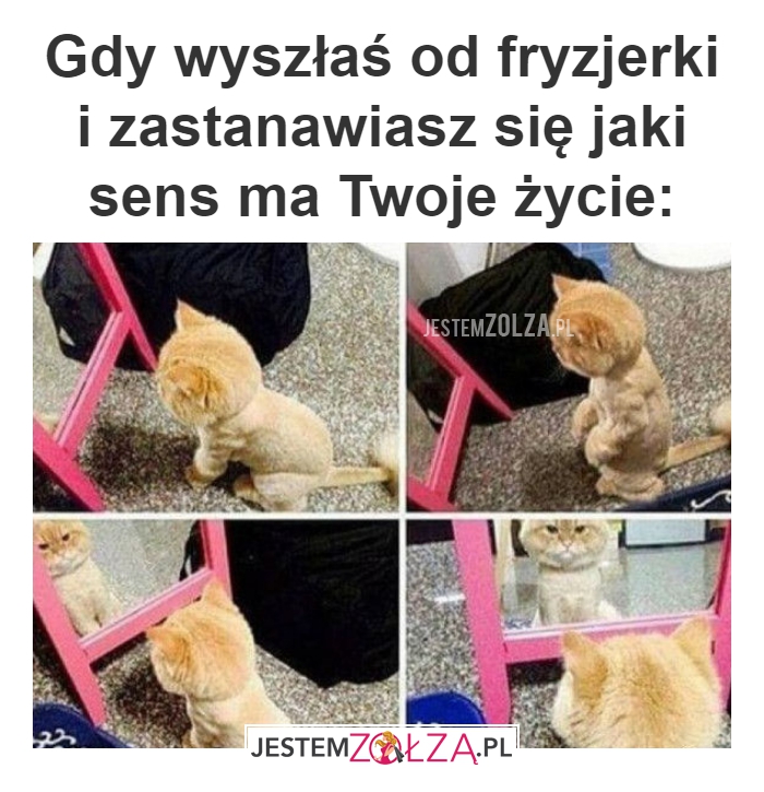 Gdy wyszłaś od fryzjerki
