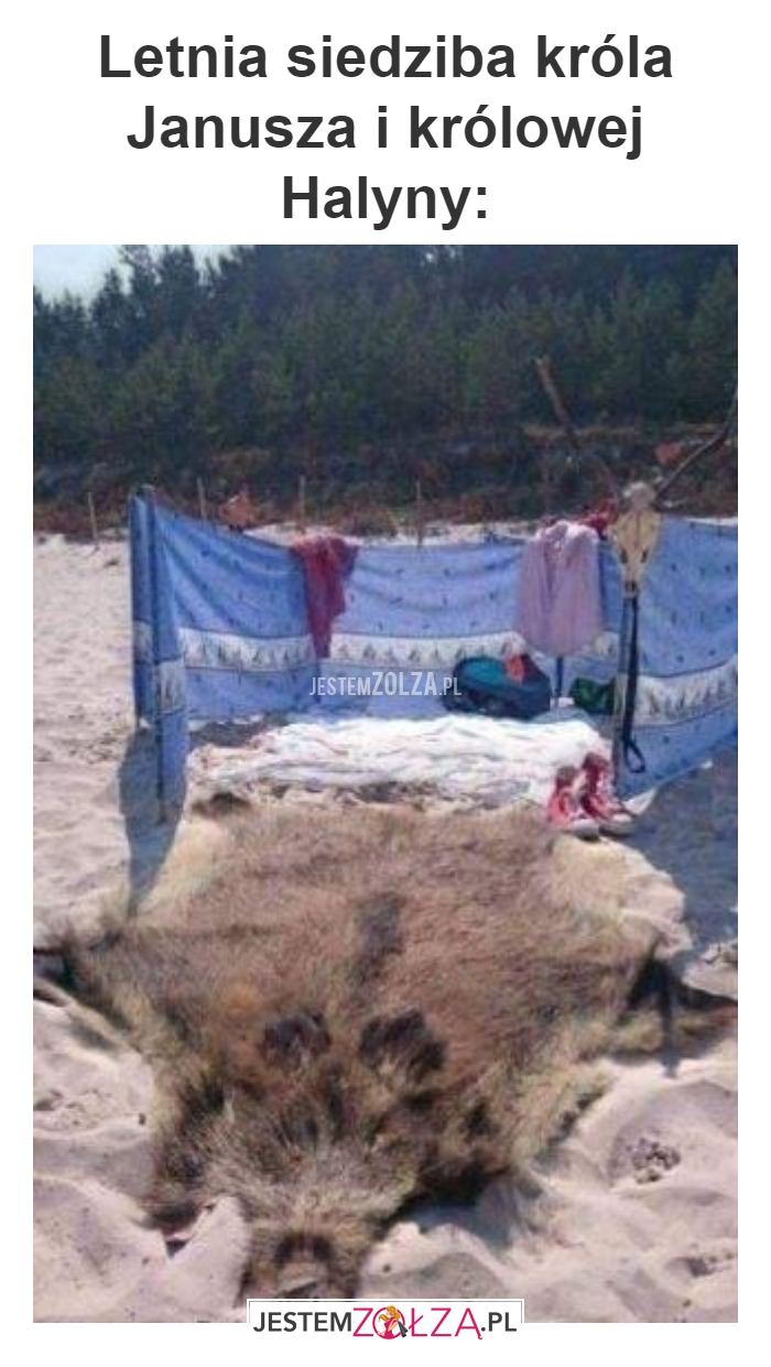 Letnia siedziba króla 