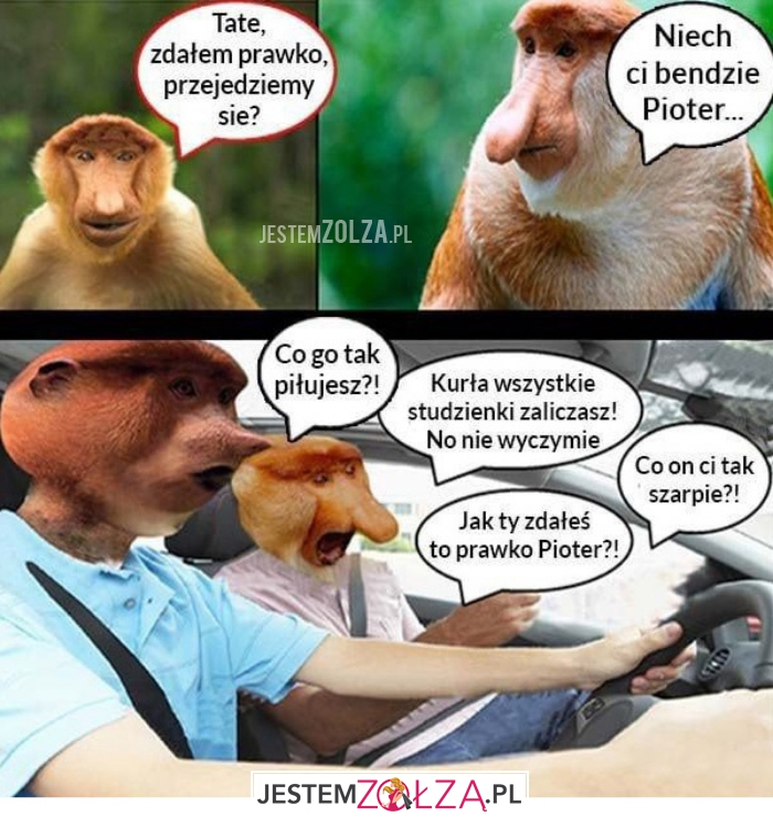 tate zdałem prawko