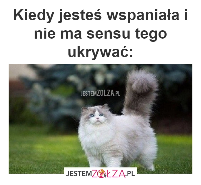 Kiedy jesteś wspaniała