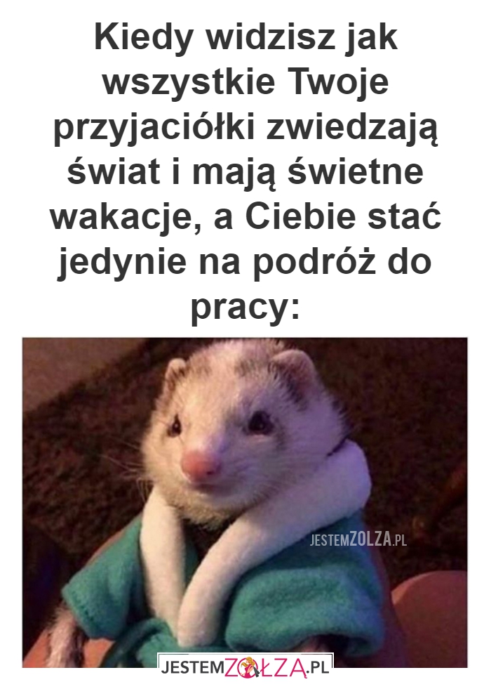 Kiedy widzisz jak wszystkie 