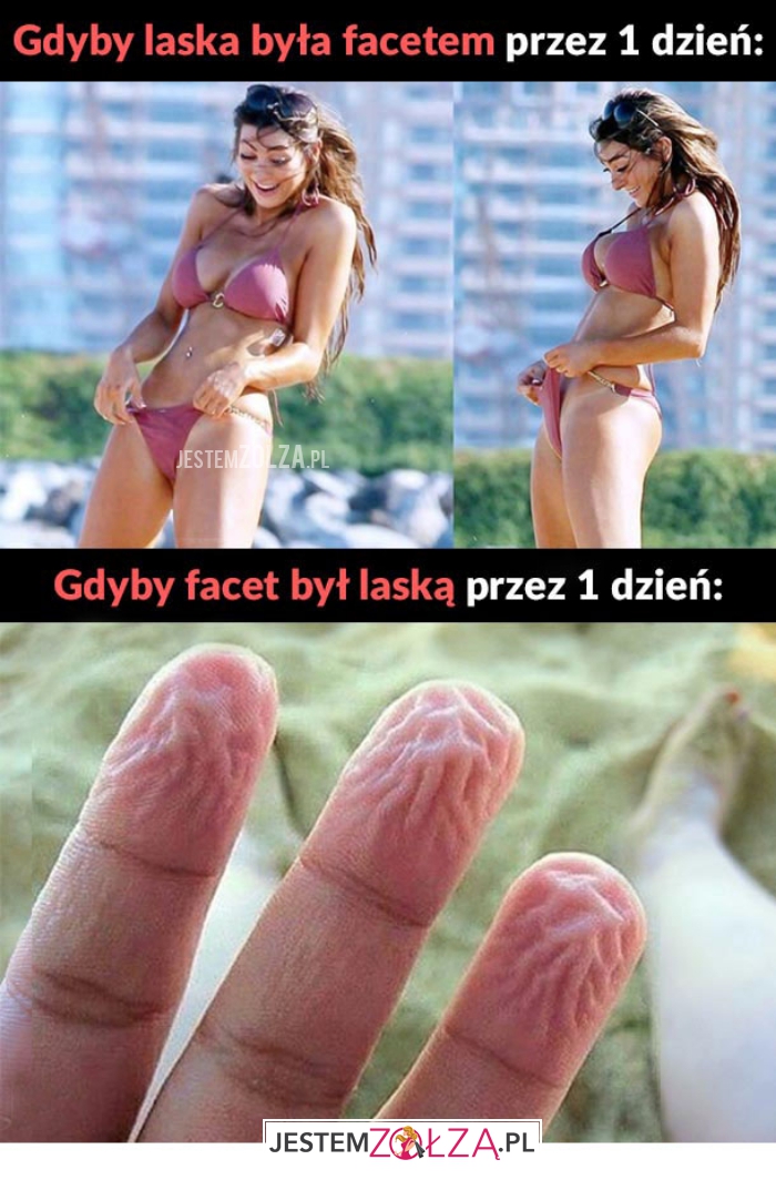 gdyby laska była