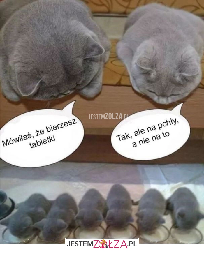 mówiłaś, że bierzesz