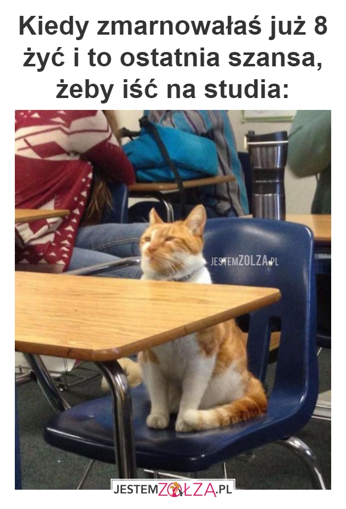 Kiedy zmarnowałaś 
