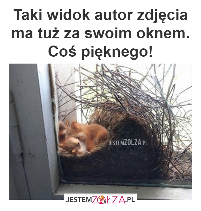 Taki widok autor 