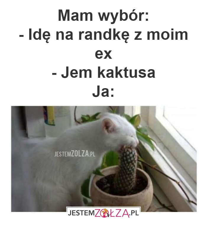 Mam wybór: