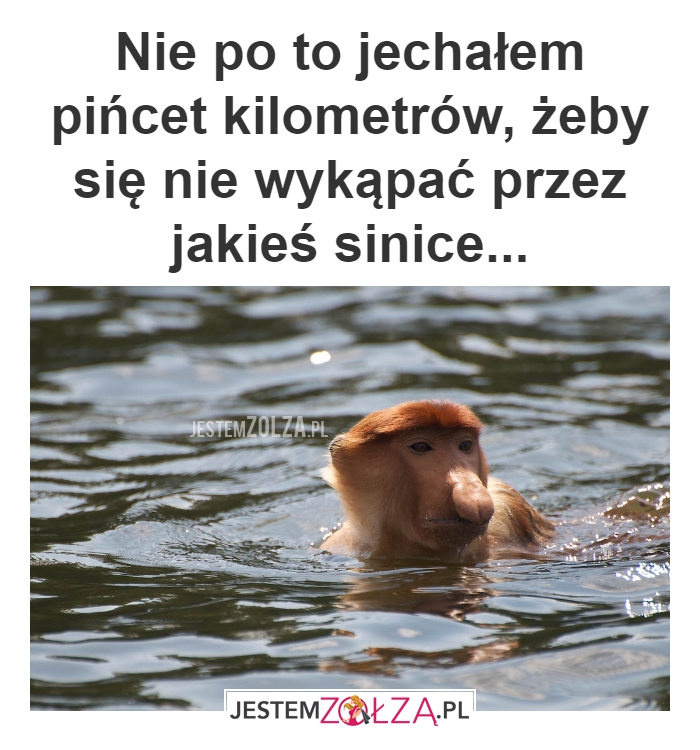 Nie po to jechałem pińcet 