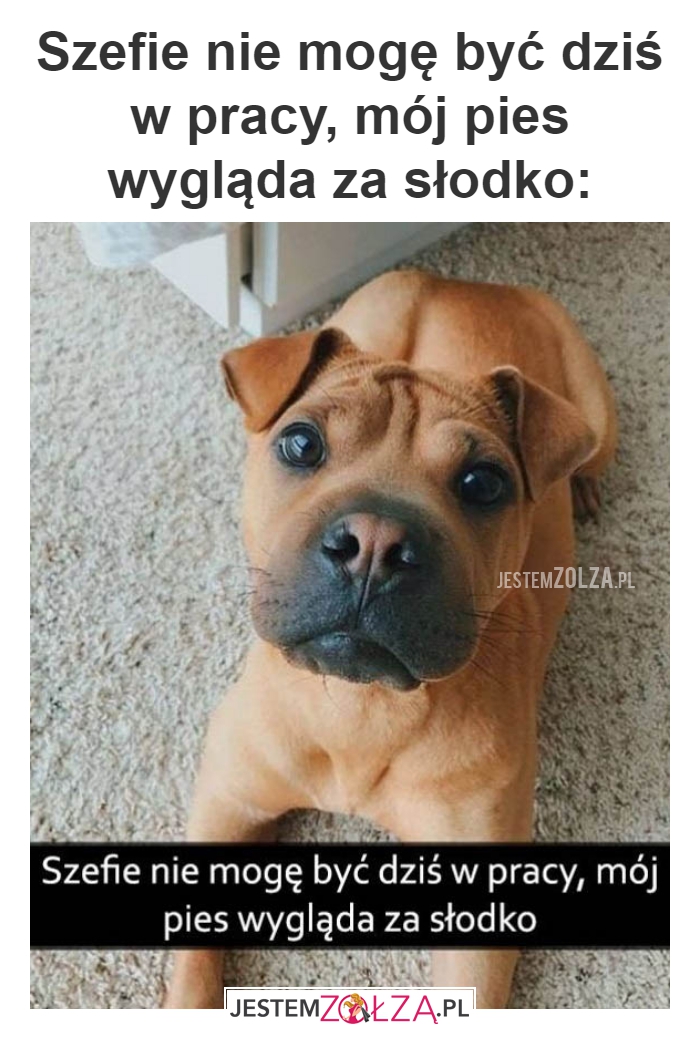 Szefie nie mogę