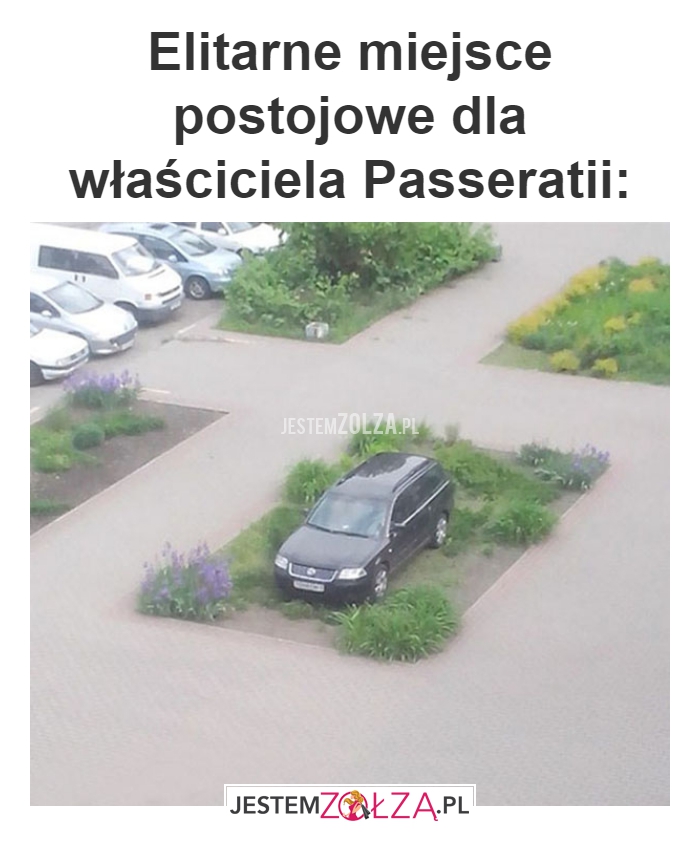 Elitarne miejsce 