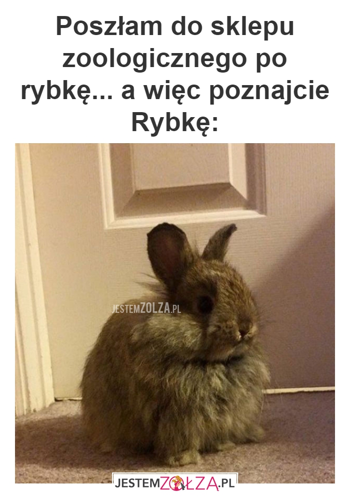 Poszłam do sklepu