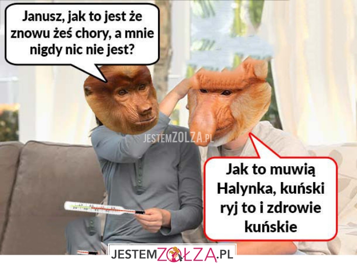 janusz, jak to jest