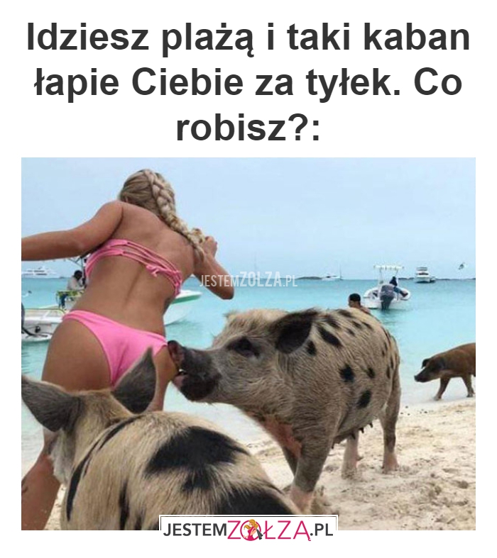 Idziesz plażą i taki 