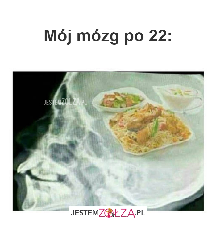 Mój mózg po 22