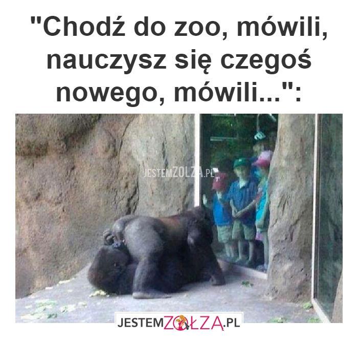 Chodź do zoo mówili