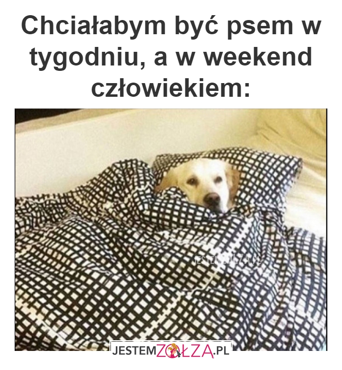Chciałabym być