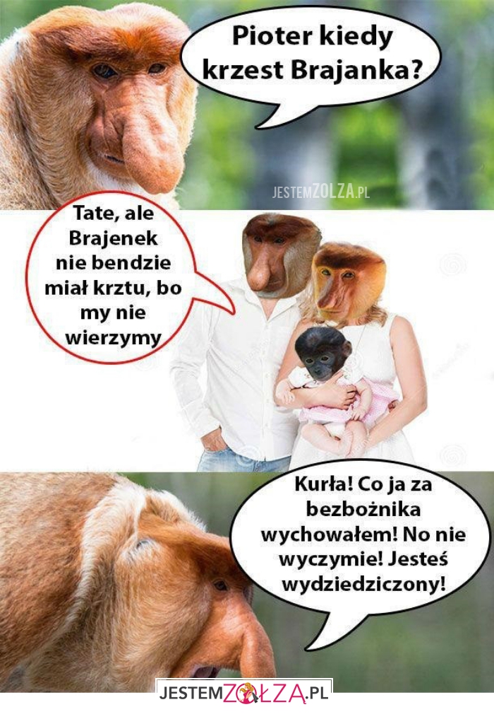 pioter kiedy
