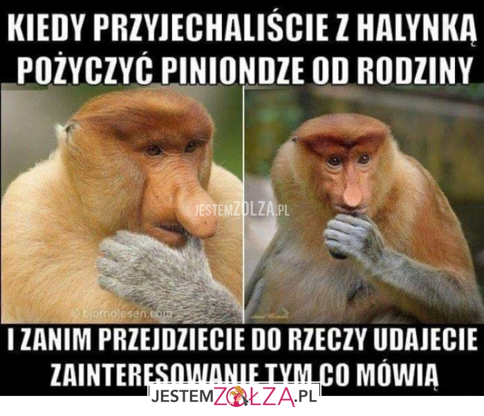 kiedy przyjechaliści