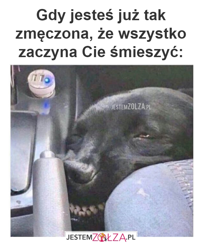 Gdy jesteś już