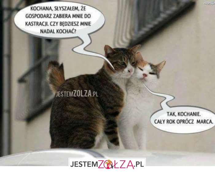 kochana