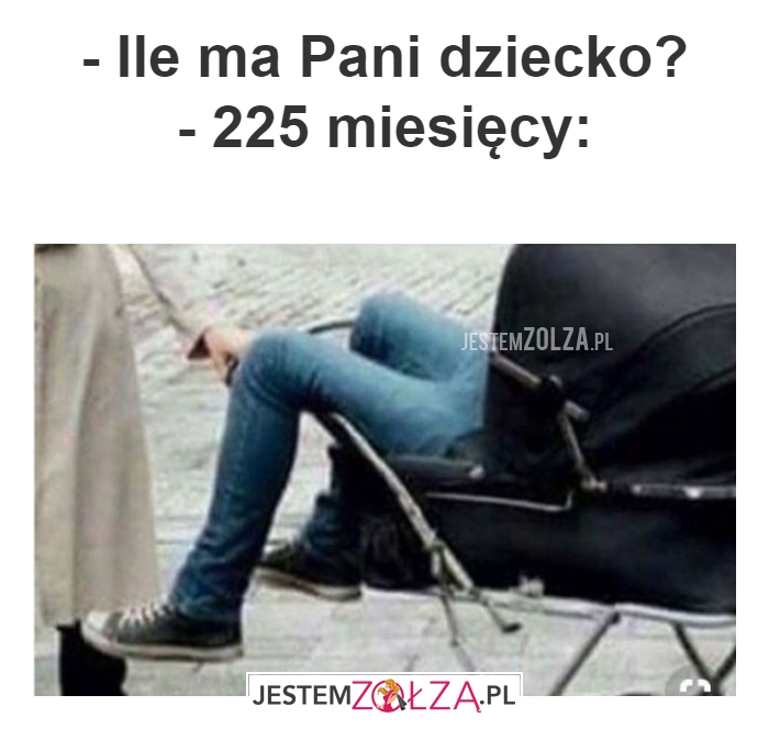 - Ile ma Pani 