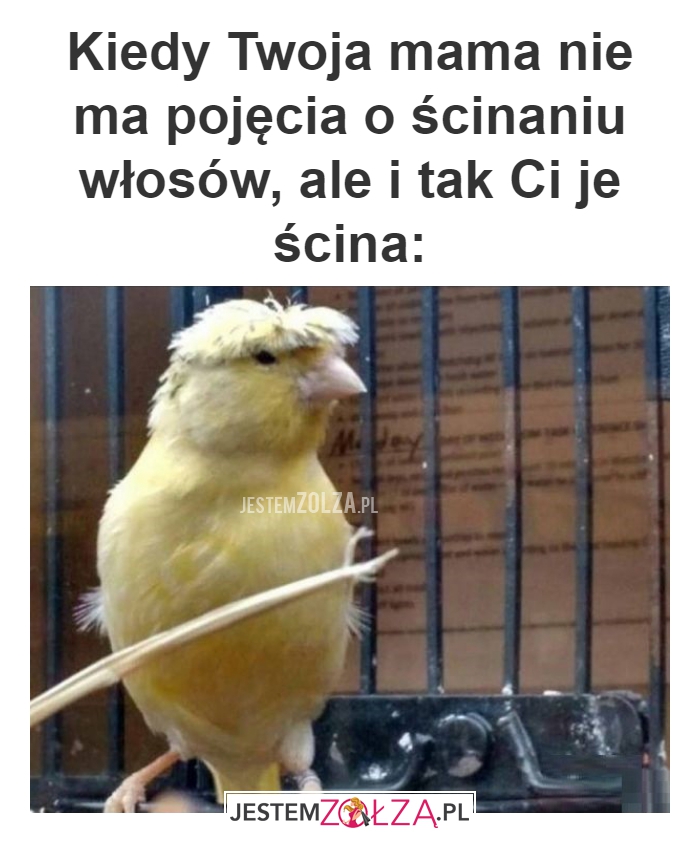 Kiedy Twoja mama 