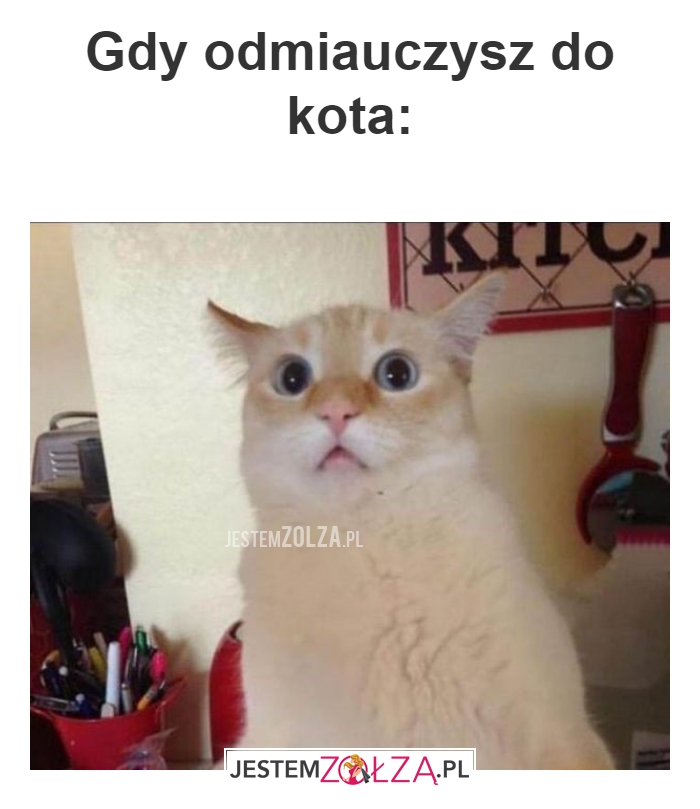 Gdy odmiauczysz 