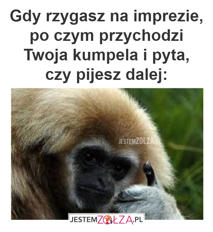 Gdy rzygasz na 