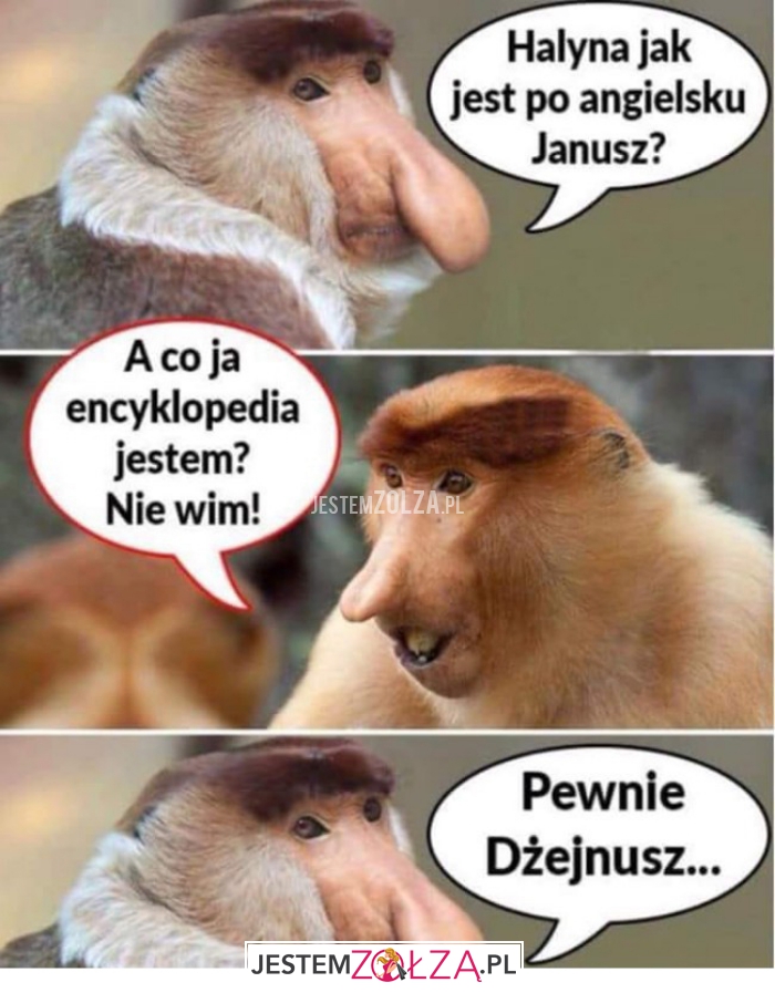 halyna