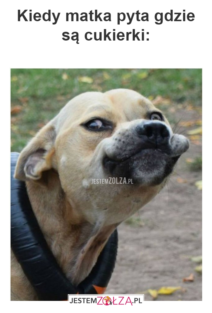 Kiedy matka pyta